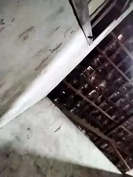 Leonelzain online show from March 2026 04:40:01 AM