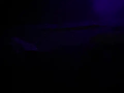 Snapshot of BigMac1596 chatting on October 2025 04:44:01 AM BigMac1596 online show from October 2025 04:44:01 AM