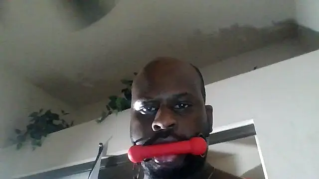 HBYAM online show from January 2026 12:34:01 PM