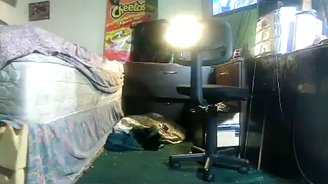 HBYAM online show from February 2026 11:44:02 AM