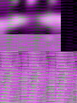 mobydick42085 online show from November 2025 10:35:02 PM