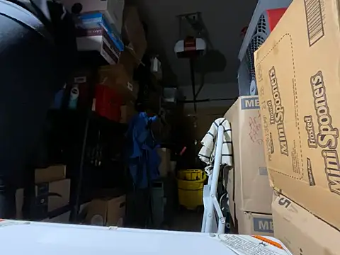 wynterheat online show from November 2025 07:23:01 AM