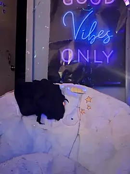 fantasymade69 online show from November 2025 06:50:02 AM