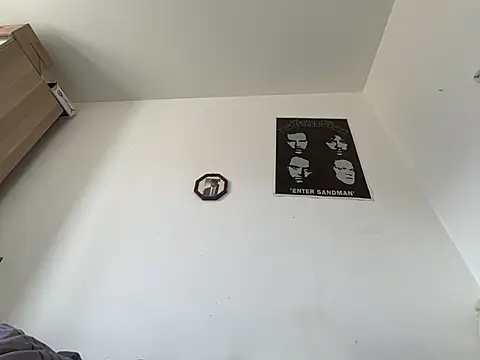 ofeefox online show from March 2025 08:17:01 AM