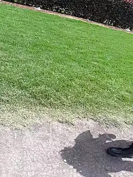 sophie banger online show from November 2025 04:11:02 PM