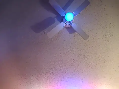 big8dall online show from February 2026 02:05:01 PM