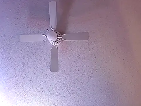 big8dall online show from December 2025 06:27:01 AM