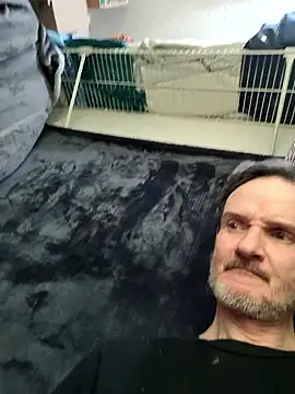 big8dall online show from March 2026 03:49:01 AM