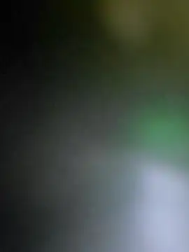 big8dall online show from December 2025 04:33:02 AM