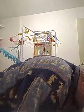 Bretoncool online show from November 2025 01:26:02 PM