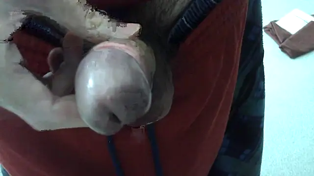 ikkakusai11 online show from December 2024 01:35:02 AM
