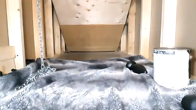 cbtbetaloser online show from February 2026 05:17:02 AM