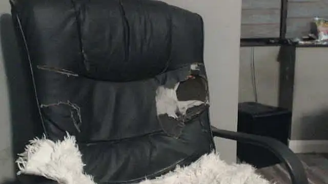 sexyfuckers online show from October 2025 03:07:02 AM