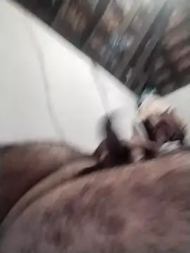 rajshank online show from December 2024 12:33:02 PM