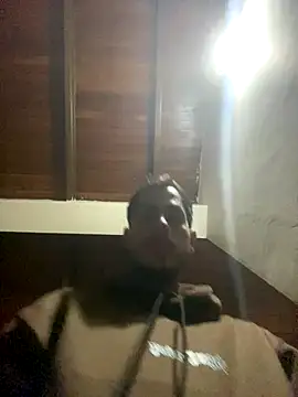 Dalton oficial online show from January 2026 12:36:02 AM