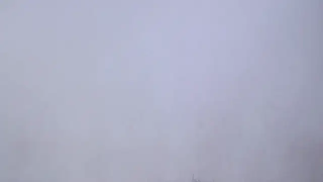 SusanLeroy online show from April 2026 11:28:01 AM