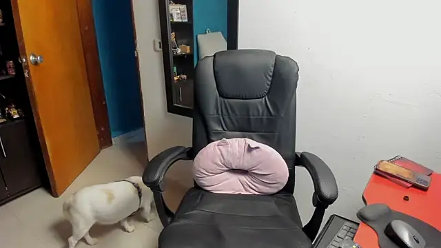 peanut tangerine online show from January 2026 11:55:01 PM