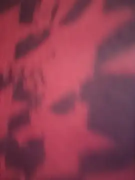 77fuckerboy  online show from December 2025 03:18:02 AM