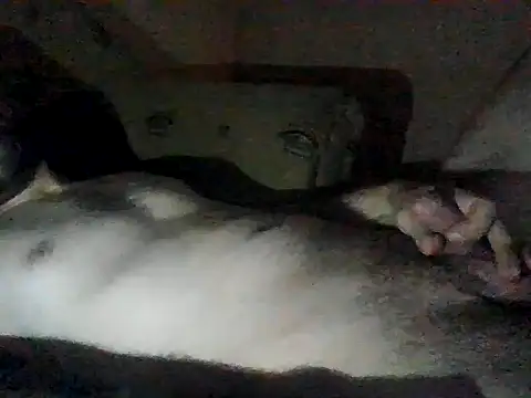 Vicktore007 online show from September 2025 09:37:01 PM