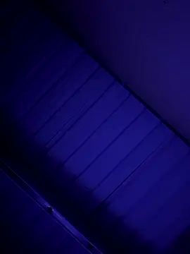 danielll2024 online show from February 2026 11:20:02 AM