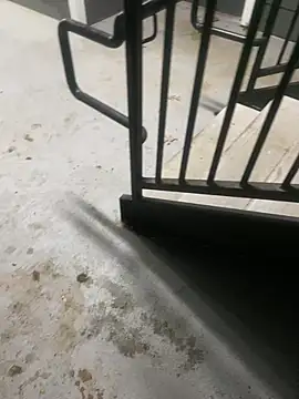 zeekBbc online show from March 2026 08:49:02 AM