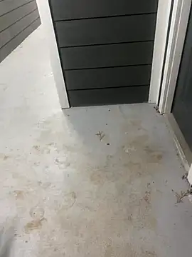 zeekBbc online show from February 2026 10:15:01 AM