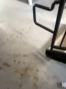 zeekBbc online show from February 2026 09:26:02 PM