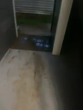 zeekBbc online show from April 2026 12:39:01 AM