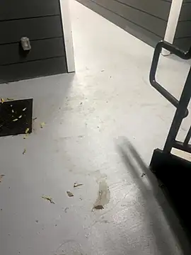 zeekBbc online show from November 2025 10:53:01 AM