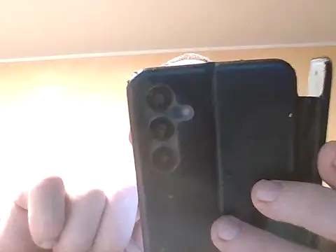 X46x online show from November 2025 06:14:02 AM