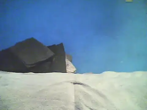 Vago745 online show from December 2024 10:46:01 AM