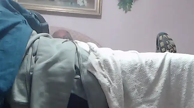 vanscr1 online show from December 2024 03:16:02 AM