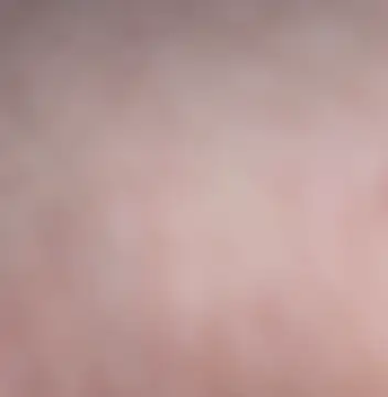 vanscr1 online show from November 2025 08:20:02 PM