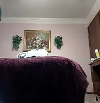 vanscr1 online show from November 2025 12:53:02 PM