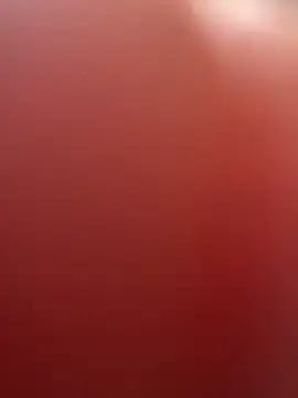 portugadopau online show from September 2025 04:06:02 PM