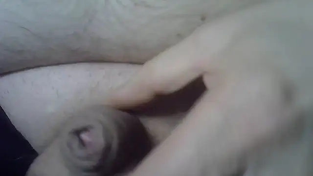 serbes ur online show from February 2026 01:41:02 PM