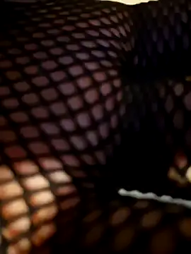 fox--3 online show from February 2026 01:29:01 AM