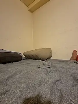 fox--3 online show from February 2026 04:55:01 AM