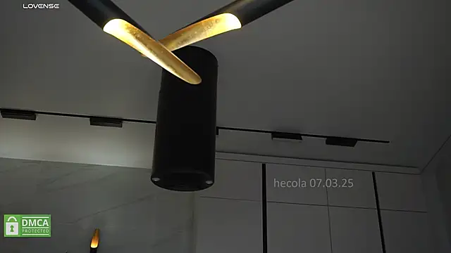 hecola online show from March 2025 02:34:02 PM