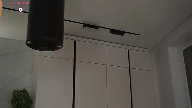 hecola online show from November 2025 02:23:01 PM