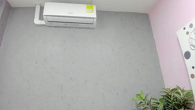 Tiffany mendez online show from December 2025 12:07:02 PM