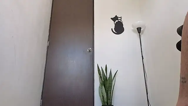 Saturno v online show from March 2026 01:19:02 PM