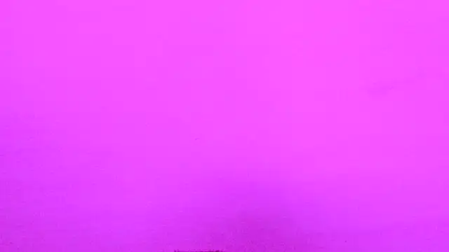 Habibi big b online show from November 2025 11:48:01 AM