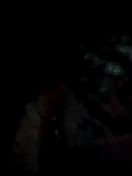 lit702 online show from April 2026 08:54:02 PM