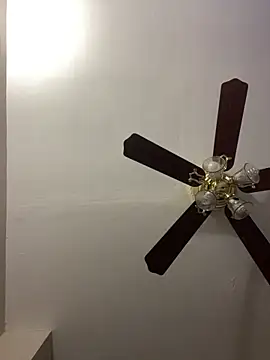 islandvybee55 online show from April 2026 11:59:02 AM