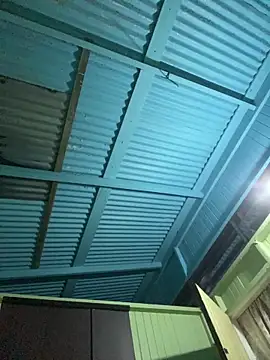 islandvybee55 online show from January 2026 07:58:02 AM