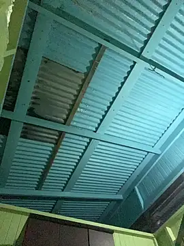 islandvybee55 online show from January 2026 09:16:01 AM