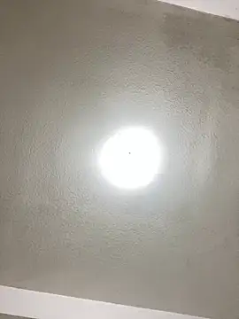 Snapshot of islandvybee55 chatting on January 2025 01:10:01 AM islandvybee55 online show from January 2025 01:10:01 AM