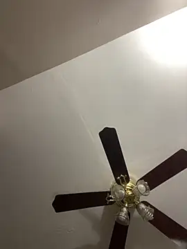 islandvybee55 online show from March 2026 02:07:01 PM