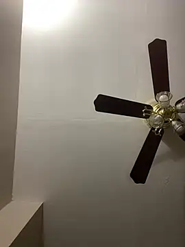 islandvybee55 online show from March 2026 12:46:01 AM